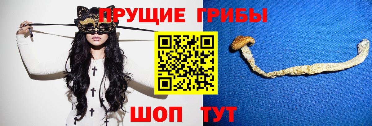 Пушкино  Галлюциногенные грибы GOLDEN TEACHER  Вход с VPN 